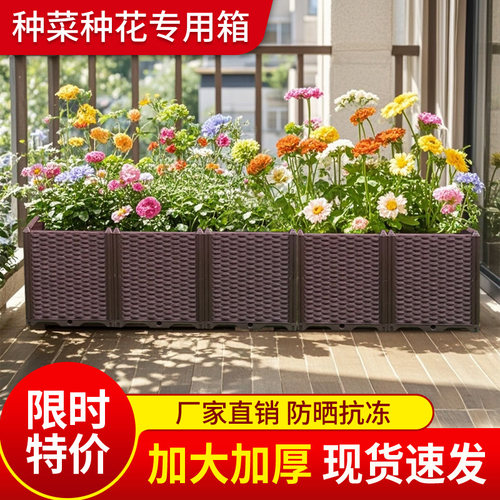 26高藤条阳台种菜盆花盆家庭楼顶