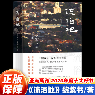 2020年度十大小说 年代野菩萨余生 保障 告别 华语文学惊喜 王德威王安忆推荐 亚洲周刊 黎紫书 流俗地 正版