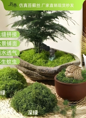 仿真苔藓 造景布置摆件 假青苔草皮铺面 盆景微景观装饰 永生苔藓