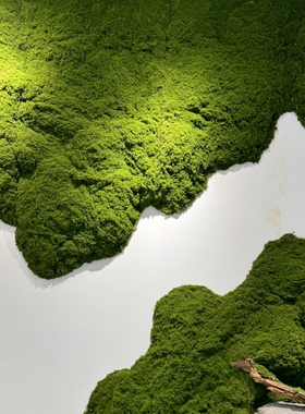 仿真苔藓假青苔人造仿生草皮装饰绿植微景观造景植物室内造景草坪