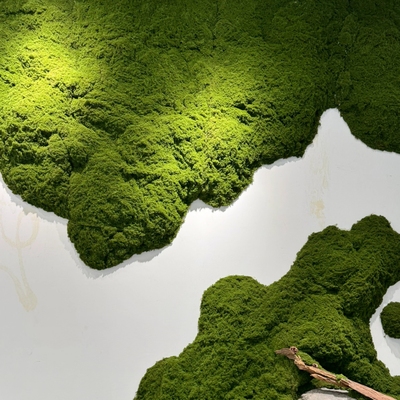 精品高仿真人造苔藓仿生青苔皮