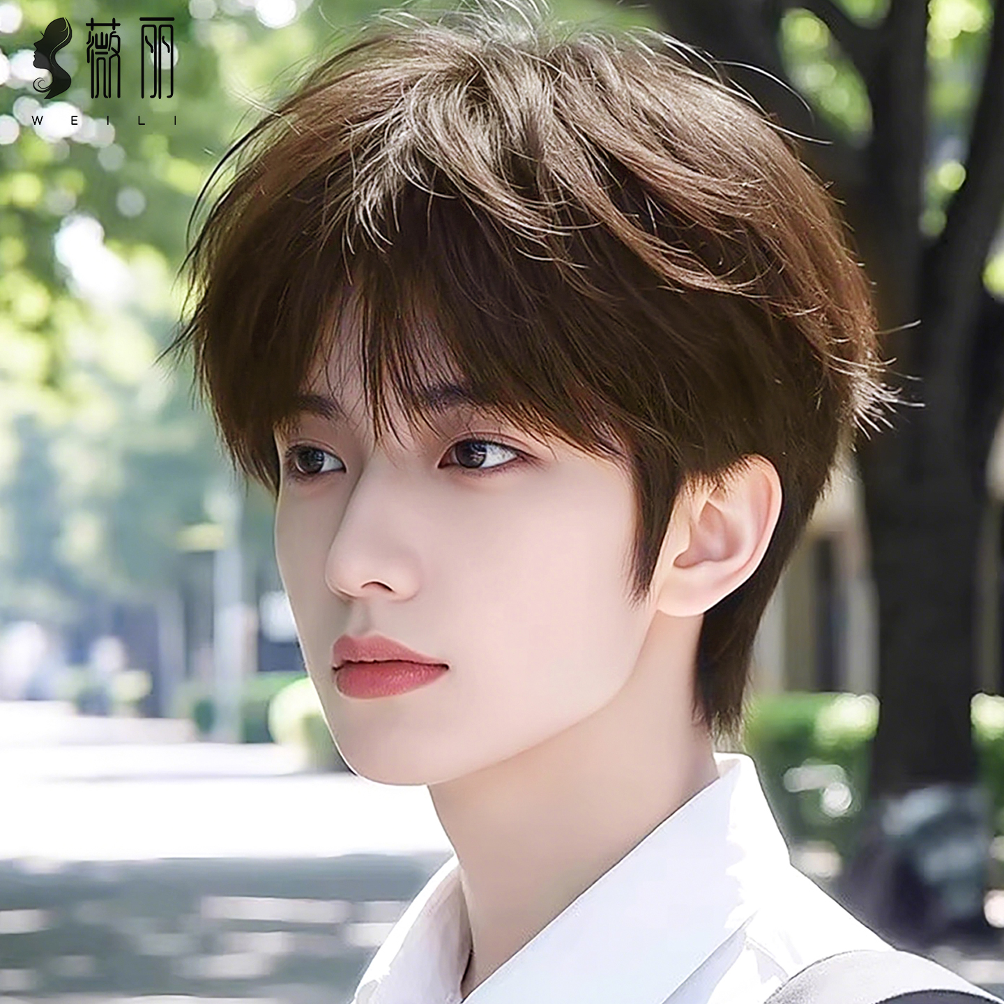 男士微分碎盖短发假发头套