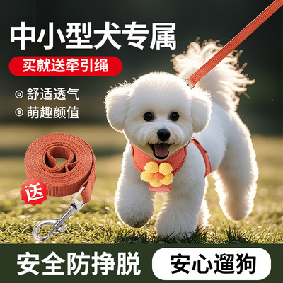新款狗狗胸背带宠物用品新款中小型犬反光防挣脱背心式狗狗牵引绳