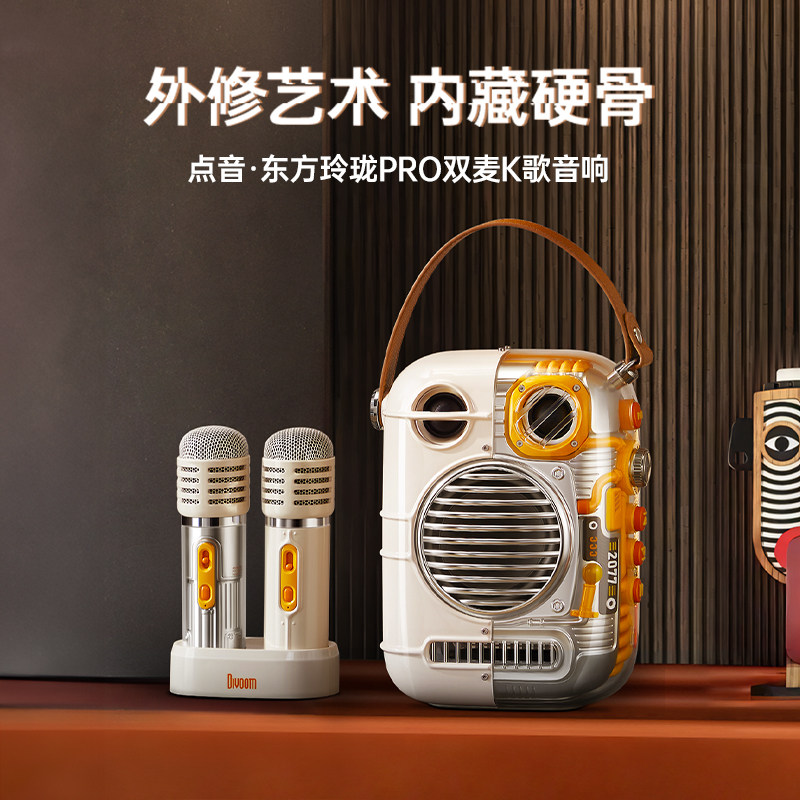 Divoom点音蓝牙K歌音响家用客厅家庭ktv唱歌音箱话筒一体双麦克风