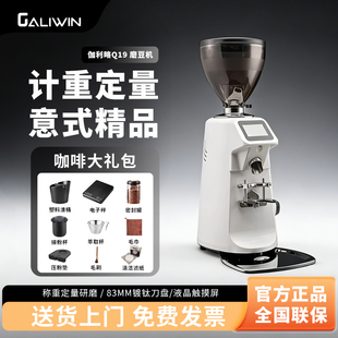 GALILE/伽利略Q19磨豆机专业商用Q18电动定量出咖啡研磨机阿玛菲