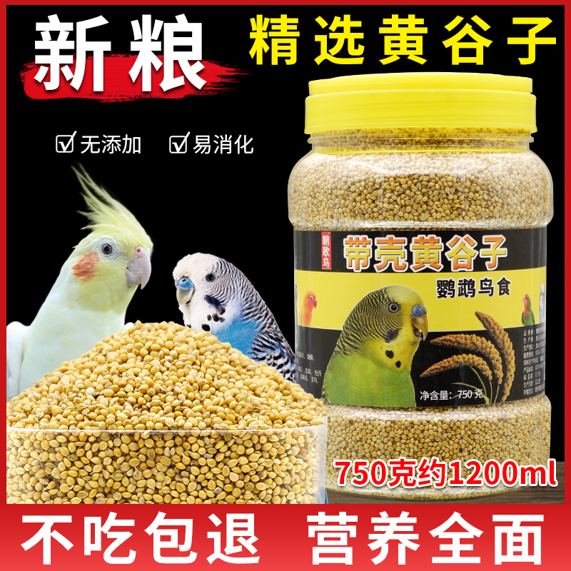 新鲜带壳黄谷子中小型鹦鹉750g