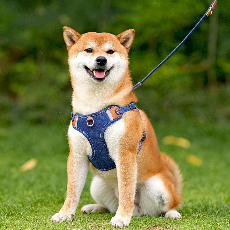 歌照狗狗牵引绳背心式狗绳