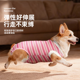宠物衣服柴犬柯基公母狗狗绝育服手术后服薄款断奶防掉毛防舔衣服
