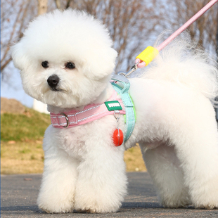 小狗狗牵引绳背心式马鞍遛狗绳子外出防挣脱泰迪比熊小型犬胸背带
