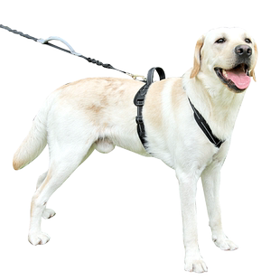 狗狗牵引绳背心式拉布拉多边牧胸背带中小型犬柴犬泰迪遛狗绳狗链