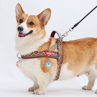 狗狗牵引绳马鞍式柴犬柯基中小型犬可调节防挣脱比熊胸背带狗绳子