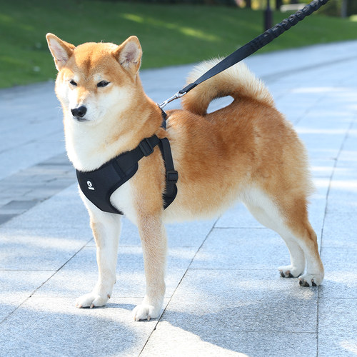 狗狗牵引绳柴犬柯基中大型背心式可调节宠物胸背户外遛狗四季通用