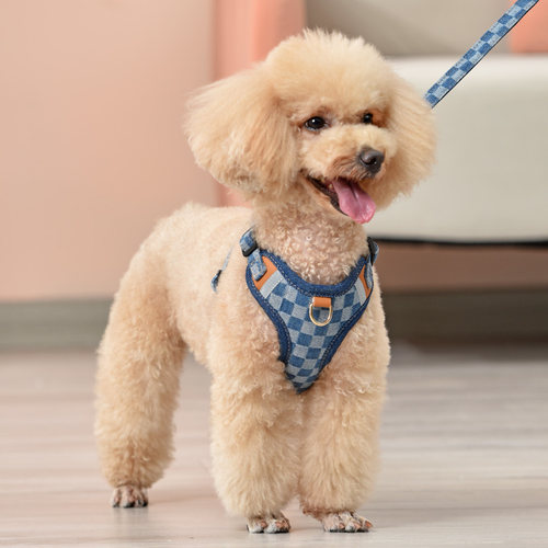 歌照狗狗牵引绳小型犬狗链子牛仔