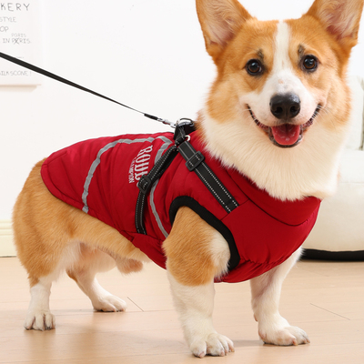 狗狗衣服柯基冬装加厚保暖棉衣柴犬衣服棉马甲中小型犬冬季棉背心