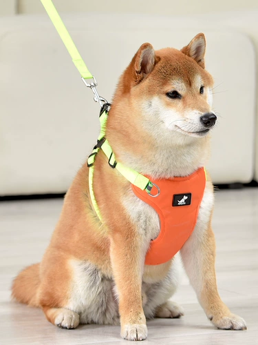 Веревка для собак маленькая и средняя собака Corki Shiba Inu Fato Vest Dog Bess Less