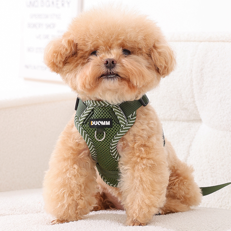 小狗狗牵引绳背心式遛狗绳链子小型犬柴犬博美泰迪比熊宠物胸背带