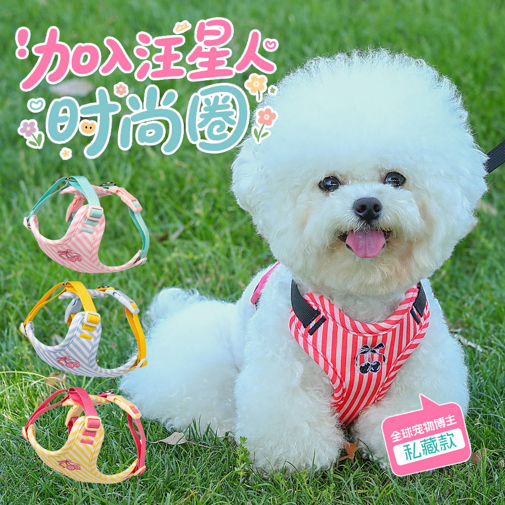 狗狗牵引绳背心式小型犬泰迪比熊博美遛狗绳宠物胸背带防挣脱狗链