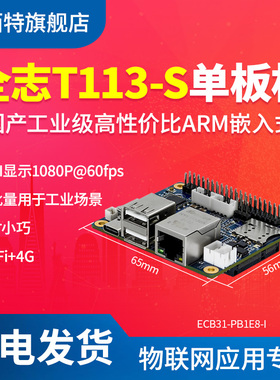 亿佰特工业级全志T113-S单板机4G WiFi双核ARMA7国产千兆网RISC-V