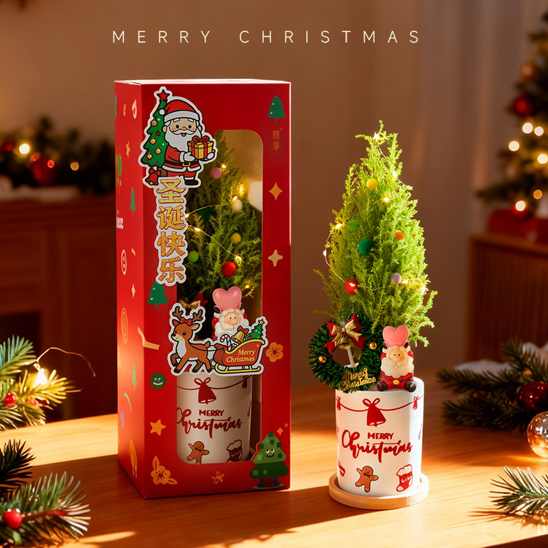 圣诞礼物节日送礼桌面绿植摆件