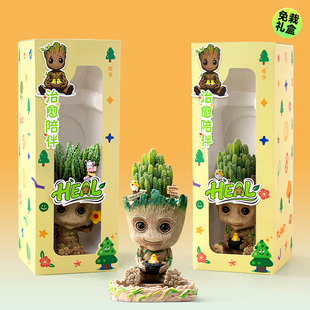 植季多肉植物办公室桌面盆栽格鲁特摆件伴手礼送男生生日礼物女生