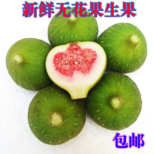 下奶治疮炖汤理疗无花果广西