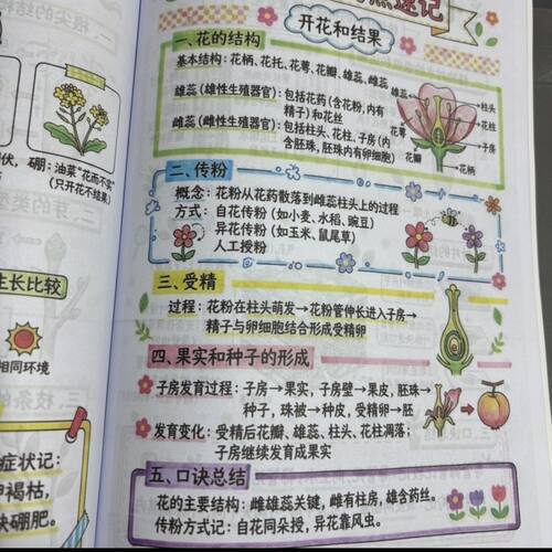 初中七下小四门地理生物政历史趣味合集漫画版理解笔记本开学用品