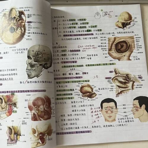 2026现货速发升级版笔记霍琨系统解剖学笔记本彩色打印胶装