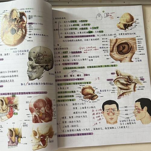 【现货速发】升级版霍琨系统解剖学笔记本彩色打印胶装笔记本