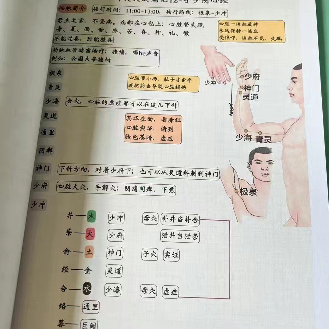 倪海厦针灸大成笔记彩色(祝余整理)彩色手写笔记
