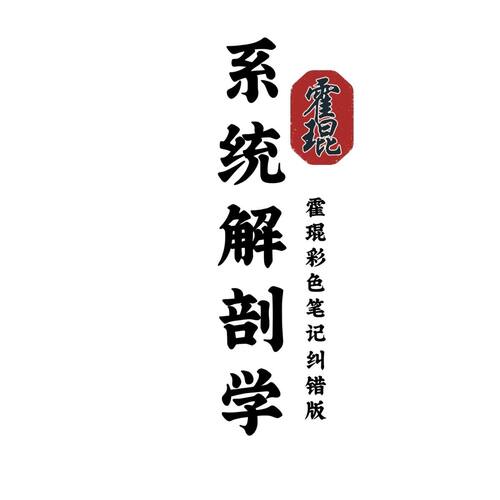 系统解剖霍琨板书最新纠错学霸整理154页超清彩印复习笔记本书法