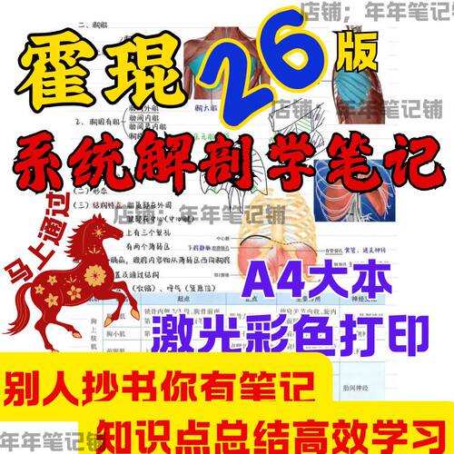 26升级版霍琨系统解剖学笔记本彩色打印胶装解剖知识点笔记本通用