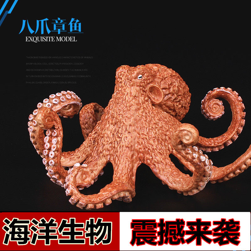 八爪鱼 章鱼 大海怪包邮儿童仿真海洋海底生物野生动物玩具模型|ruв категории игрушка/коляска/головоломка/блоки/модель, моделирование/играть в игрушки, моделирование/животных, куклы - от Buy2taobao.com для оказания профессиональной услуги покупки агента Taobao