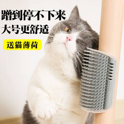 CatcornesuhymgCatcorn