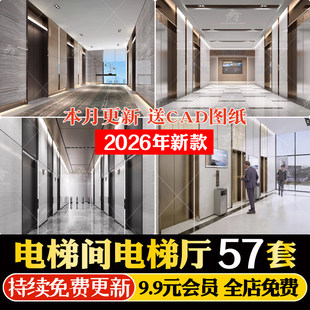 办公楼住宅商场电梯门垂直升降客梯观光间厅玻璃货梯按钮键SU模型