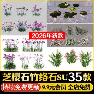 芝樱丛生福禄考欧石竹花叶络石佛甲草春羽圆锥绣球八角金盘SU模型
