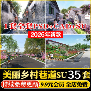 美丽和美乡村居民巷道村庄围墙景观改造CAD道路街道巷子SU模型PSD