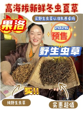 2025年新鲜冬虫夏草0.5