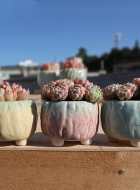 新款爆裂口多肉花盆冰裂可爱清新创意阳台控型渐变色小盆特价清仓