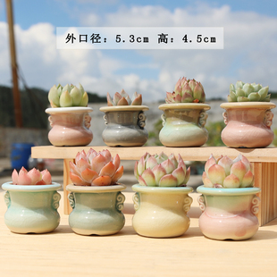 双耳多肉花盆迷你简约陶瓷创意个性冰裂流釉控型拇指小盆桌面特价