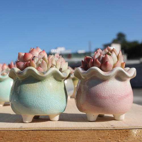 简约冰裂荷口花边陶瓷