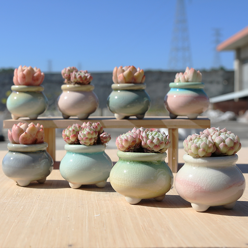 陶瓷简约清新特价清仓