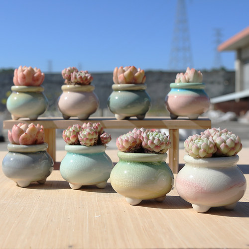 陶瓷简约清新特价清仓