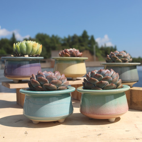 白瓷简约清新特价包邮