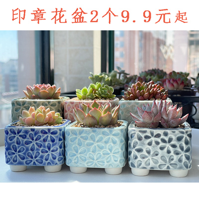 陶瓷简约多肉花盆糖果色