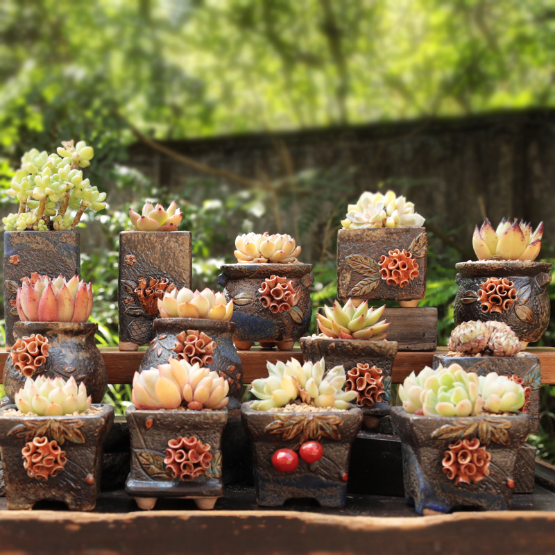 新款复古风粗陶透气群生多肉花盆