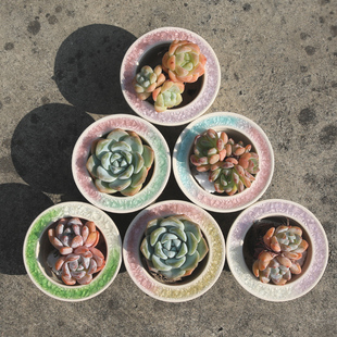 简约帽檐多肉花盆陶瓷创意个性琉璃冰裂彩虹桌面装饰群生法师盆