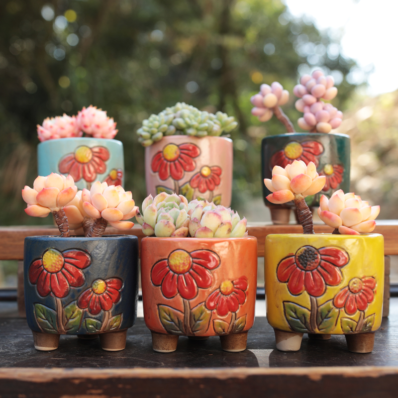 新款韩式手绘多肉植物花盆陶瓷简约室内创意个性绿植盆景小肉肉盆