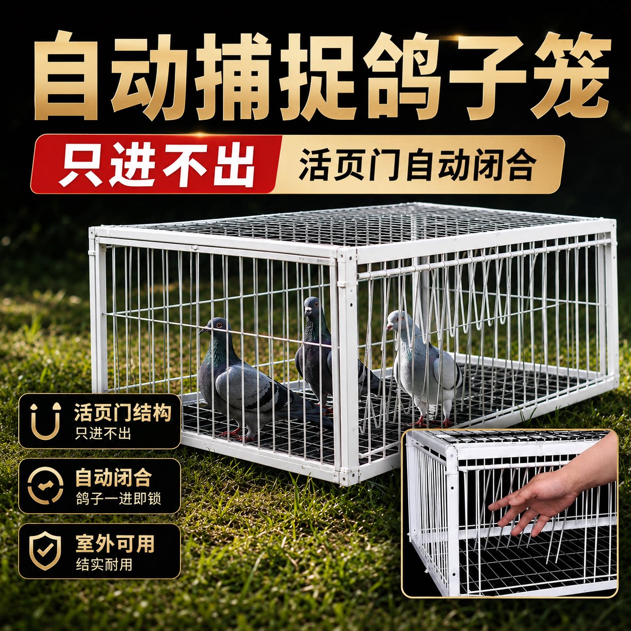 自动捕捉鸽子笼只进不出天落笼鸽子活络门撞门鸽笼铁笼跳笼门神器