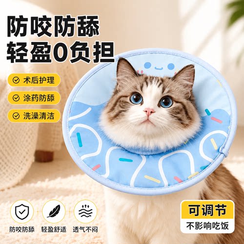 伊丽莎白圈不影响吃饭猫咪绝育