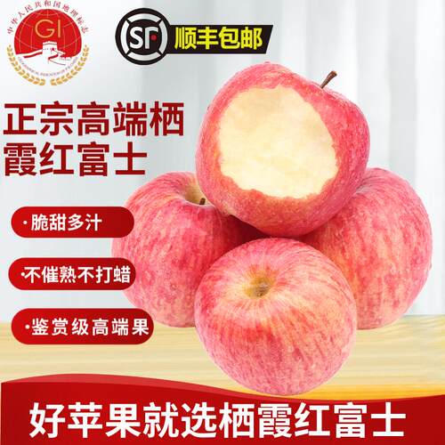 栖霞红富士苹果条纹10斤鉴赏级